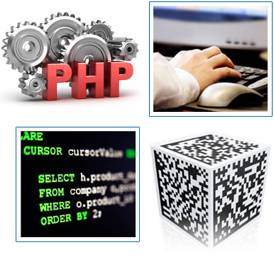 Programming, PHP, SQL, QR codes, Unibasic, web design, CGI
